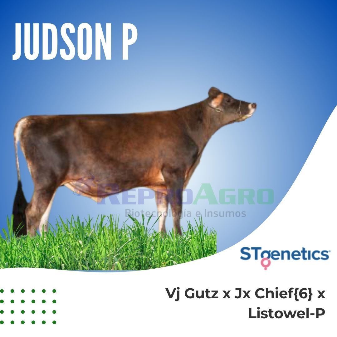 JUDSON P