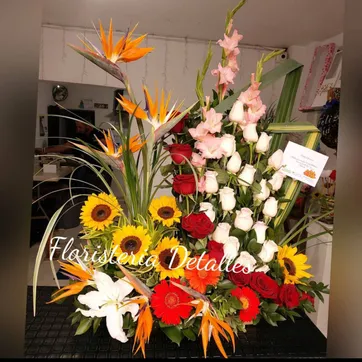 Imagen del producto Jardinera surtida