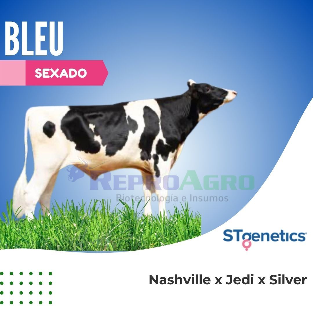 BLEU SEXADO