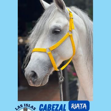 CABEZAL EN RIATA  - imagen 1