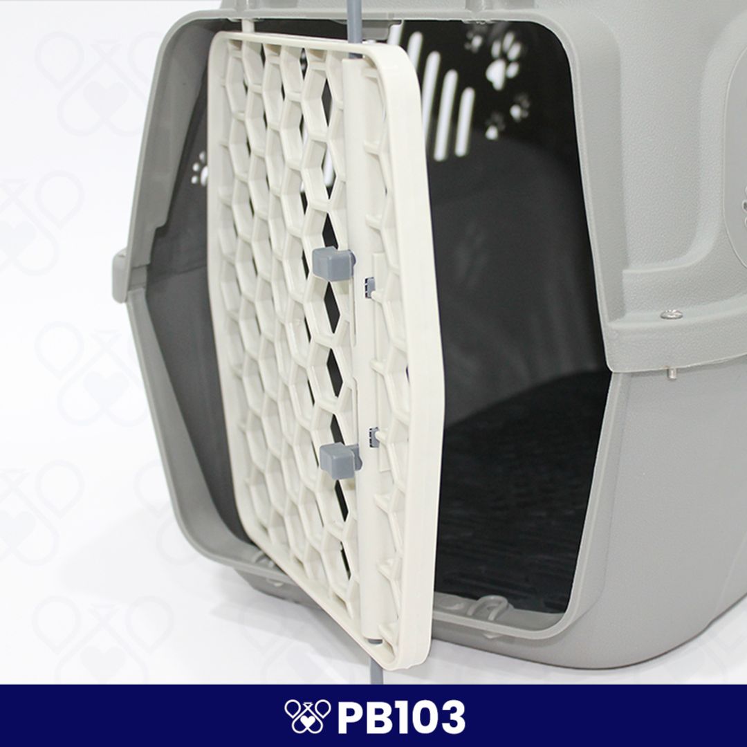 PB103 BEIGE