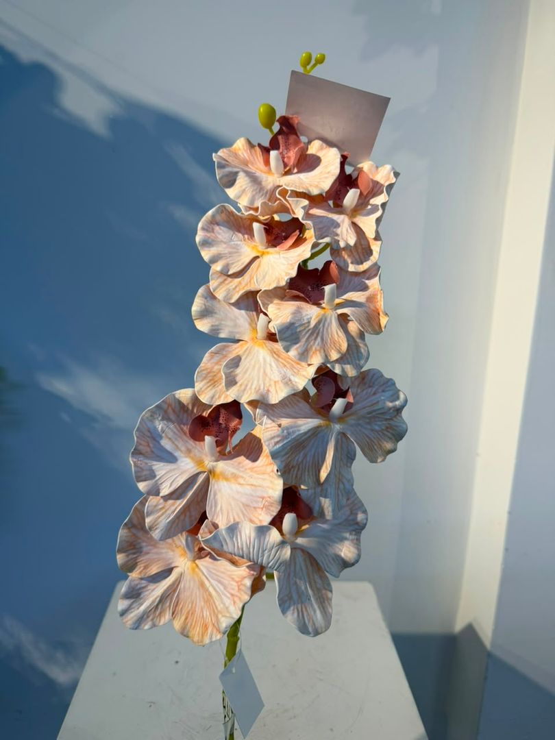 ORQUIDEA EN VARA X 9 ESPUMADO BEIG