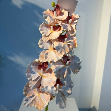 Imagen del producto ORQUIDEA EN VARA X 9 ESPUMADO BEIG