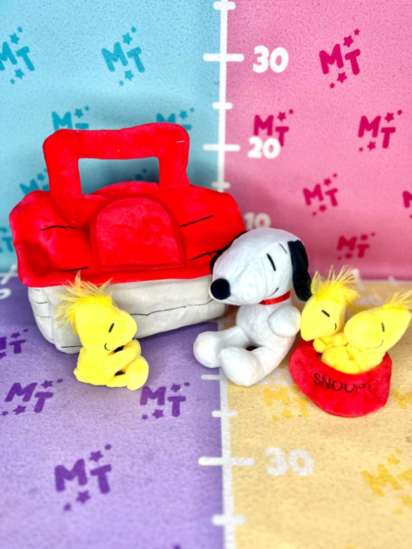 Casita Snoopy 