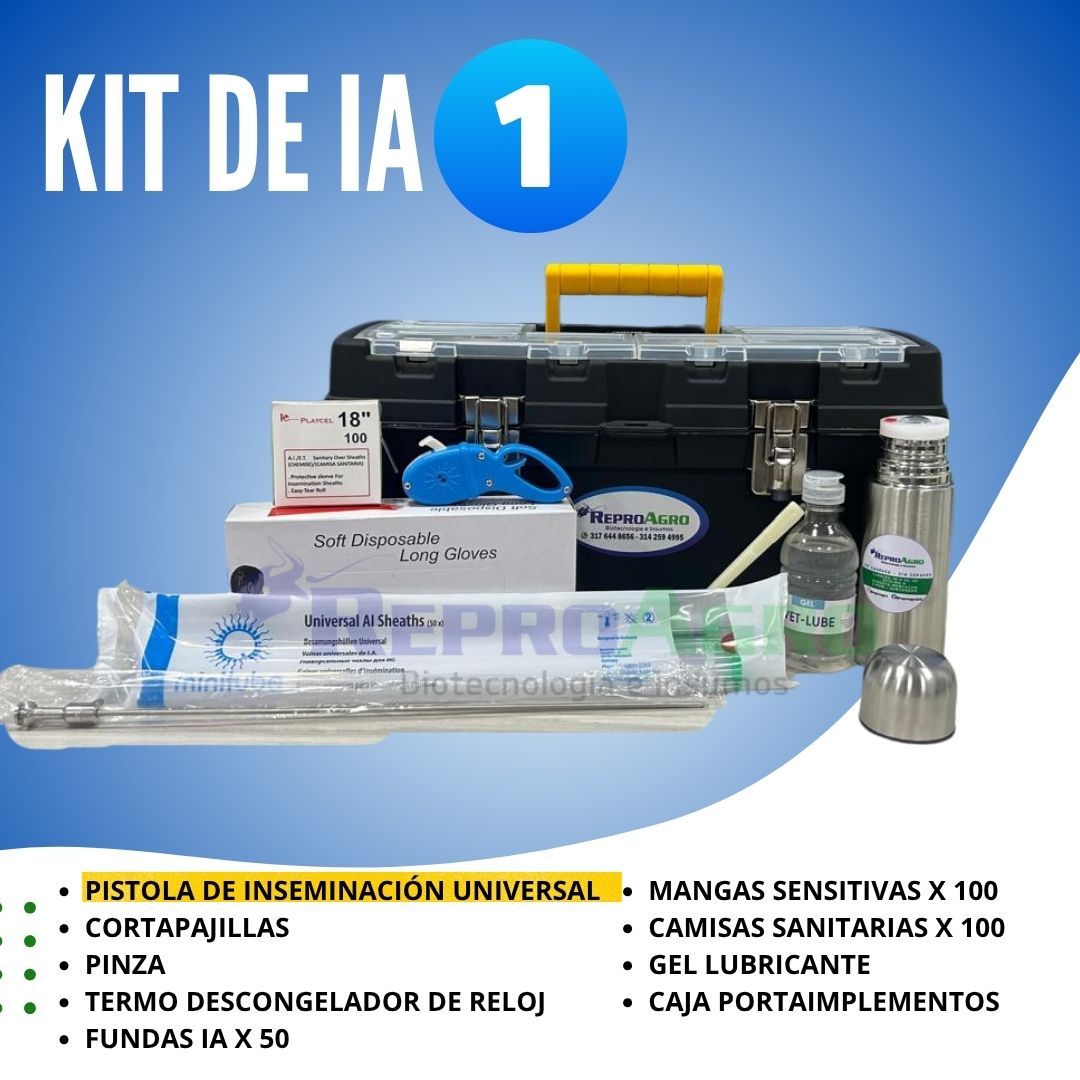 KIT DE IA 1