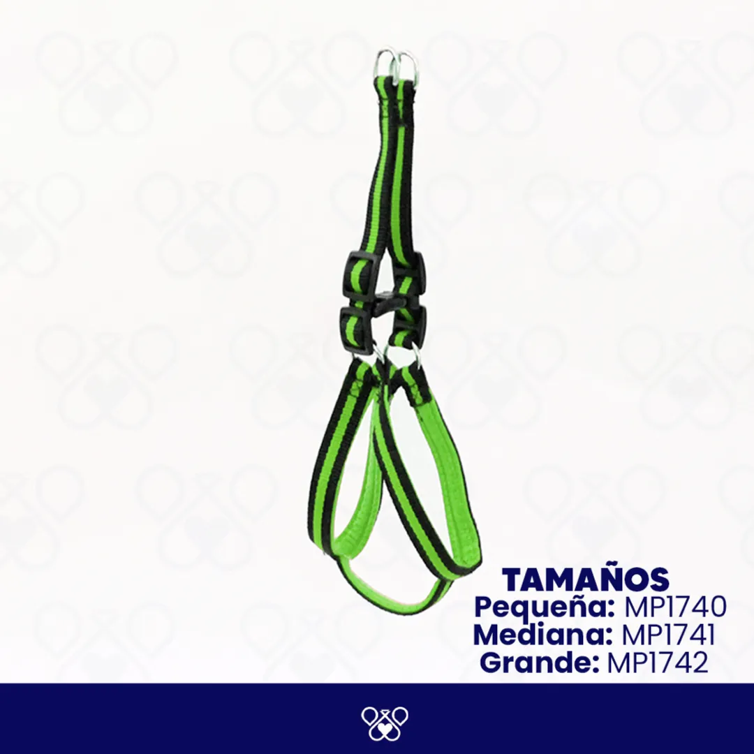 MP174-