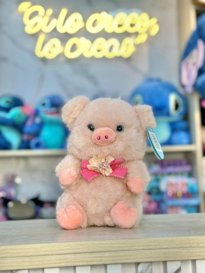 CERDO ACCESORIOS 24cm