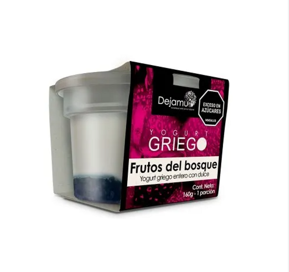 YOGURT GRIEGO FRUTOS BOSQUE DEJAMU*160G