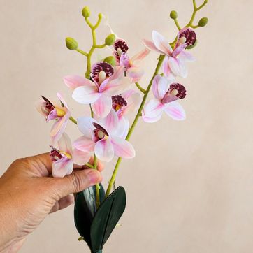 Imagen del producto Vara Orquídeas Rosa 
