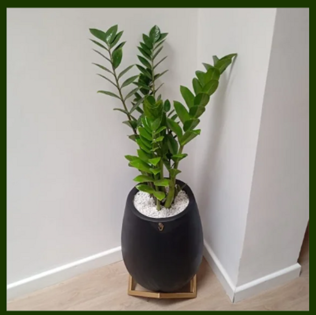 SOPORTE METALICO TRIANGULAR (Dorado)