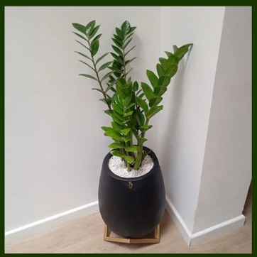 SOPORTE METALICO TRIANGULAR (Dorado) - imagen 3