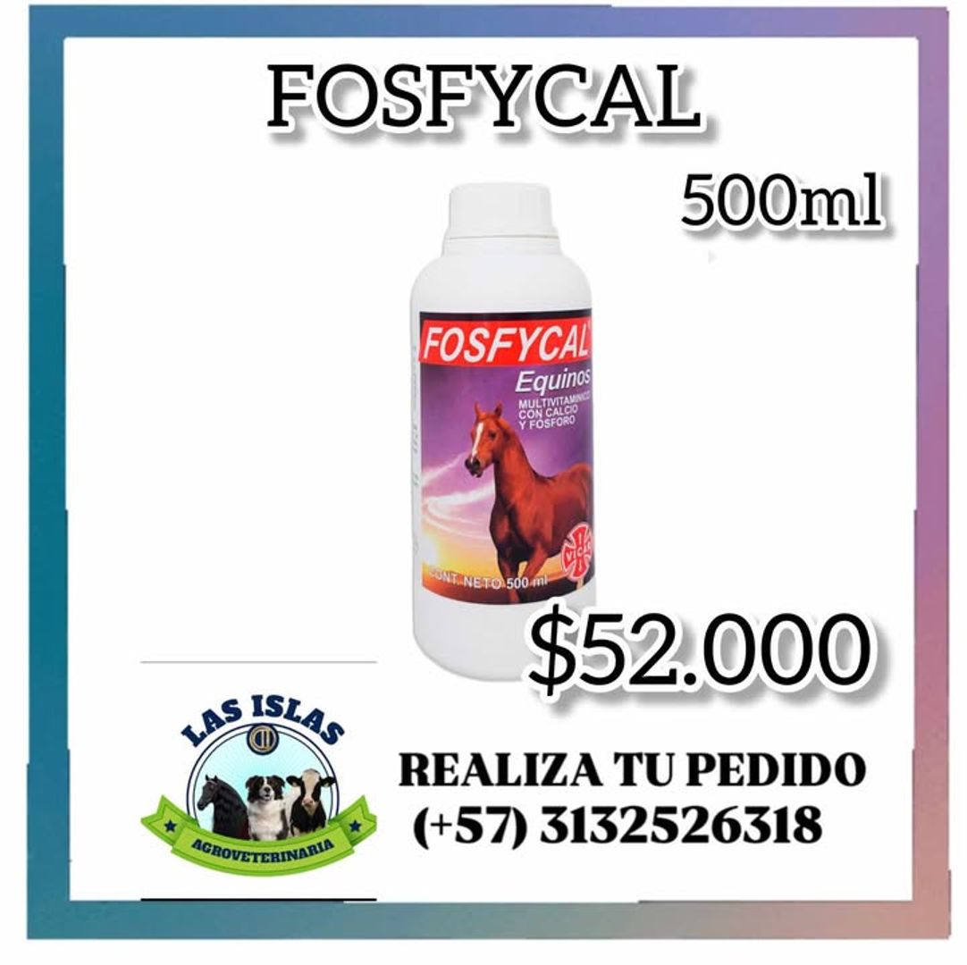 FOSFYCAL X 500 ML