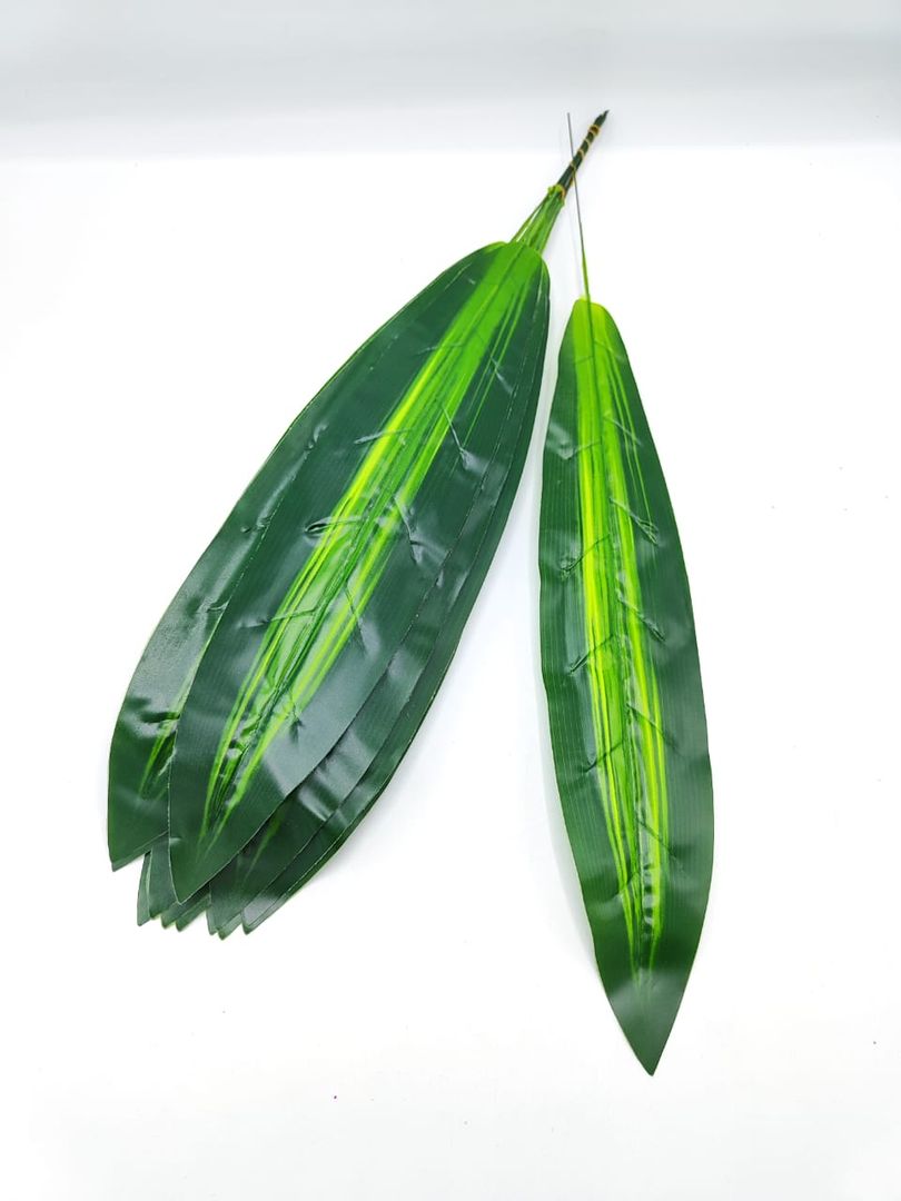 PQT HOJA X 20 (TG144)