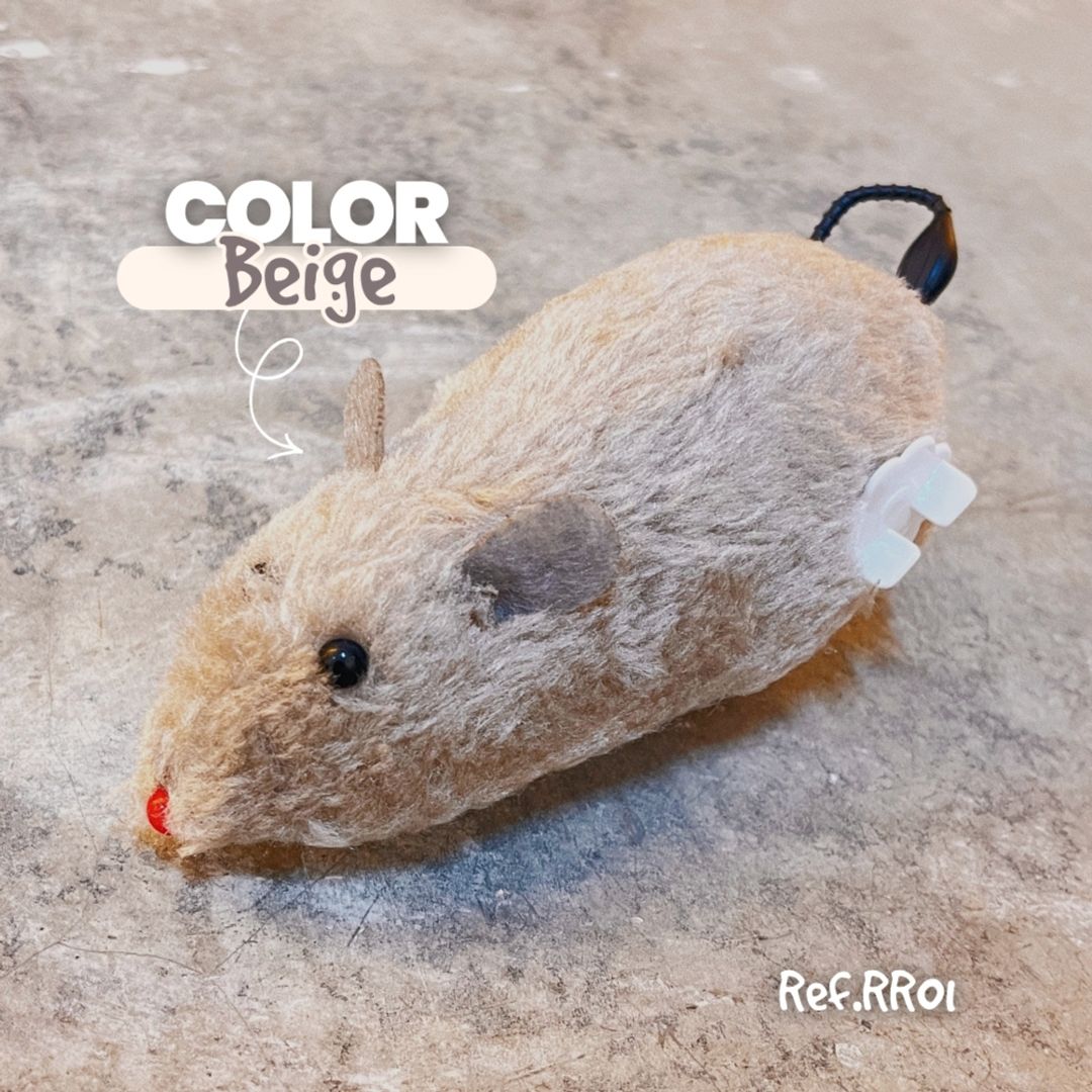 RR01