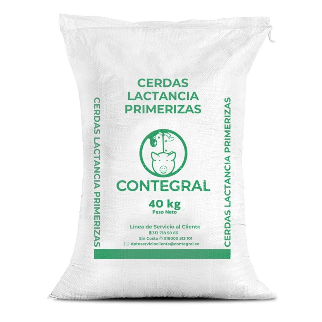 Cerda lactancia primeriza