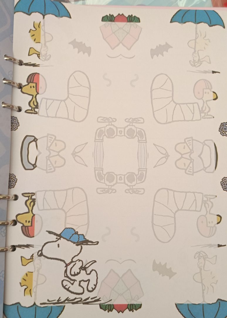 Folder snoppy