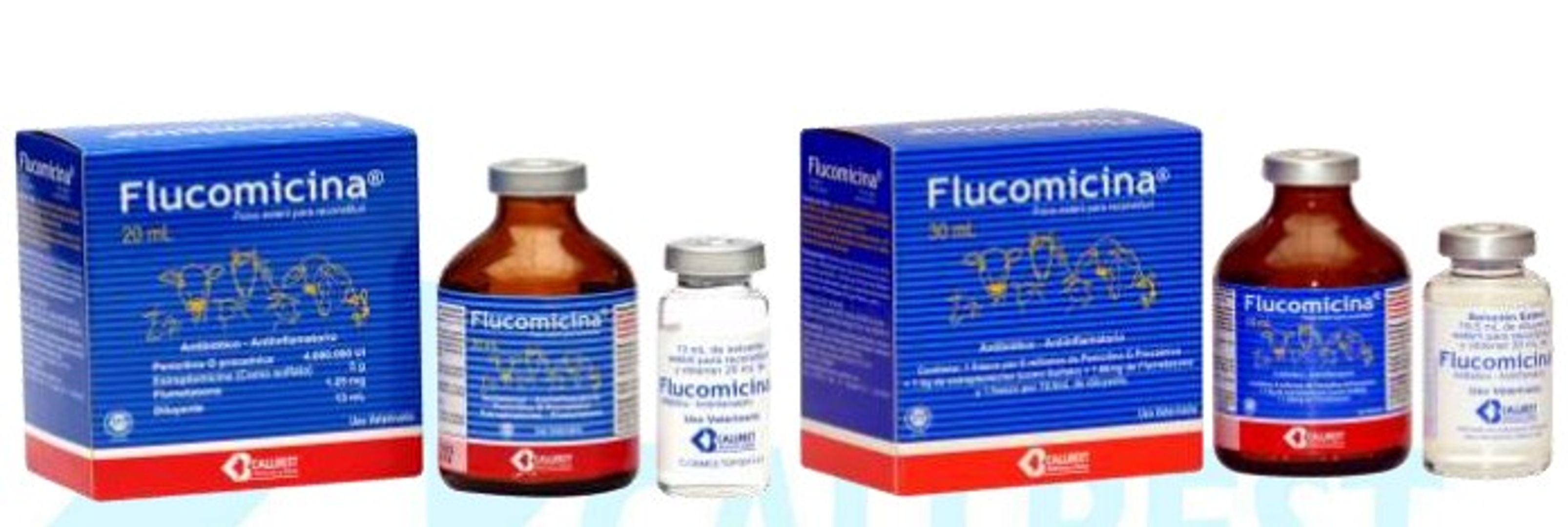 FLUCOMICINA x 20 ML
