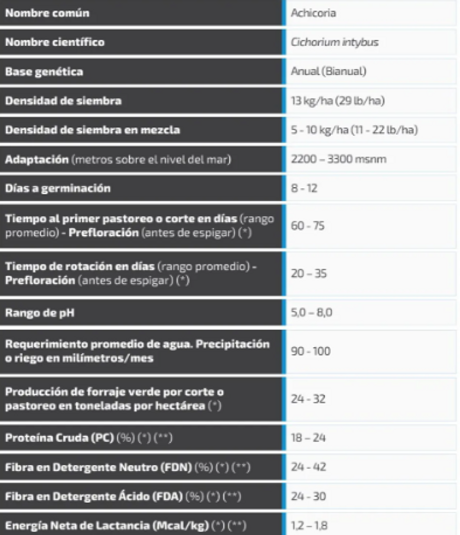 Achicoria Forrajera x Kilo