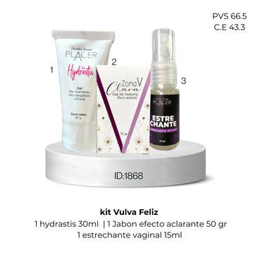 Imagen del producto KIT VULVA FELIZ ESTRELLAS