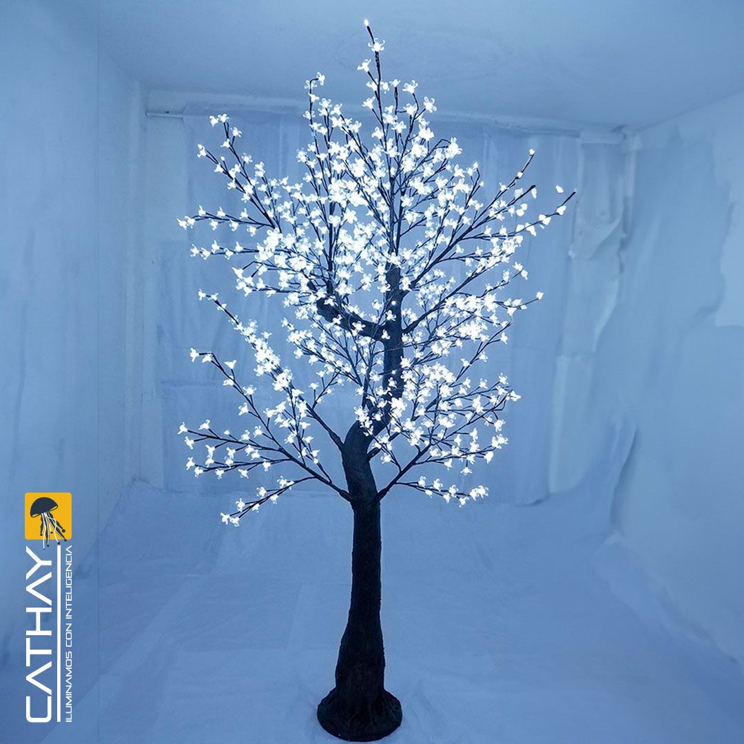 ARBOL TIPO PINO MAPLE 