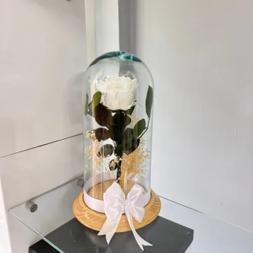 Imagen del producto ROSA BLANCA