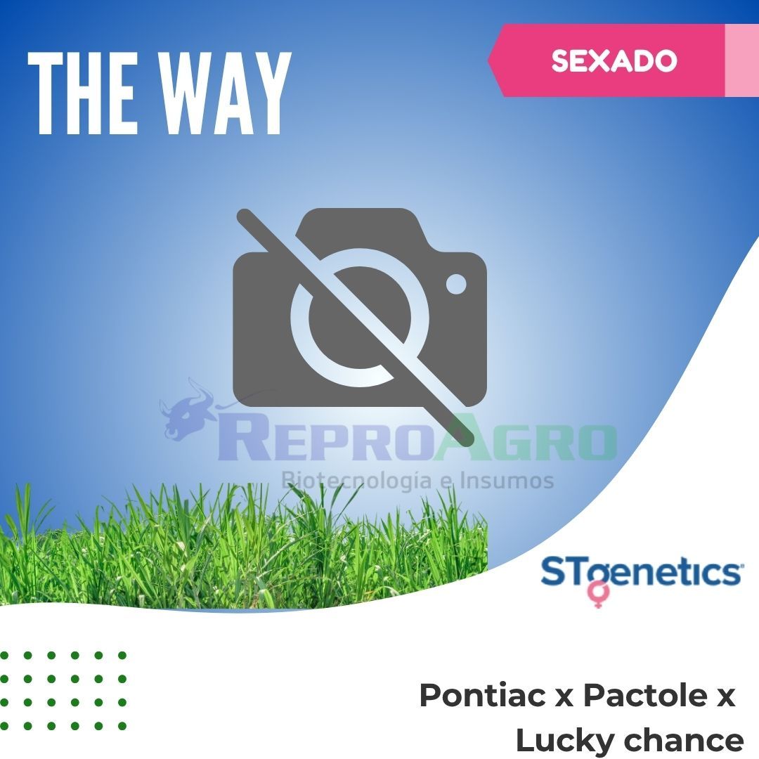 THE WAY SEXADO