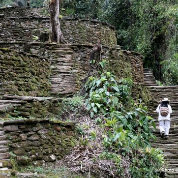 CIUDAD PERDIDA 4 DIAS - imagen 4
