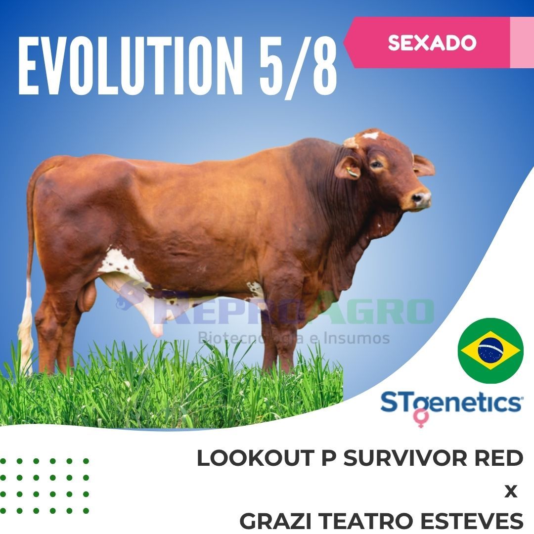 EVOLUTION SEXADO
