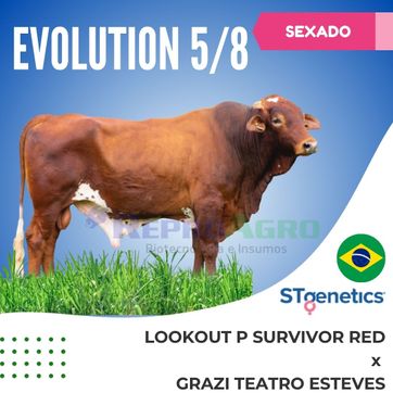 EVOLUTION SEXADO - imagen 1