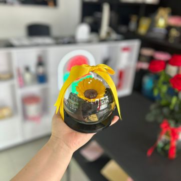 GIRASOL BOMBONA - imagen 1