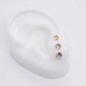 TOPO RODINADO CIRCÓN - imagen 1