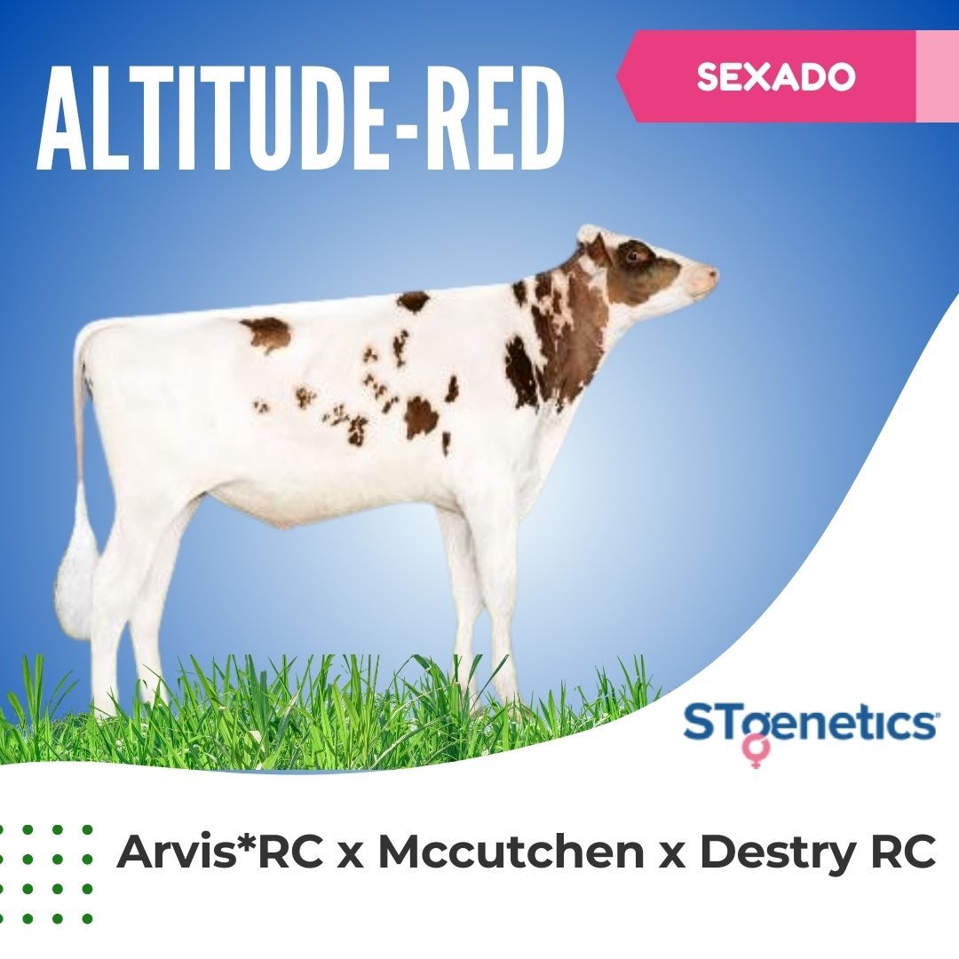 ALTITUDE-RED SEXADO