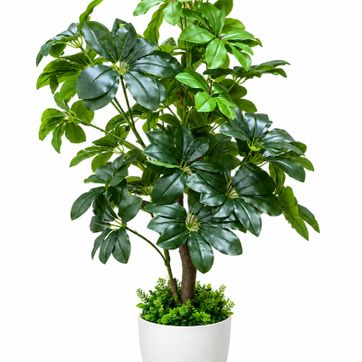 Imagen del producto PLANTA CHEFLERA 1.20 METROS