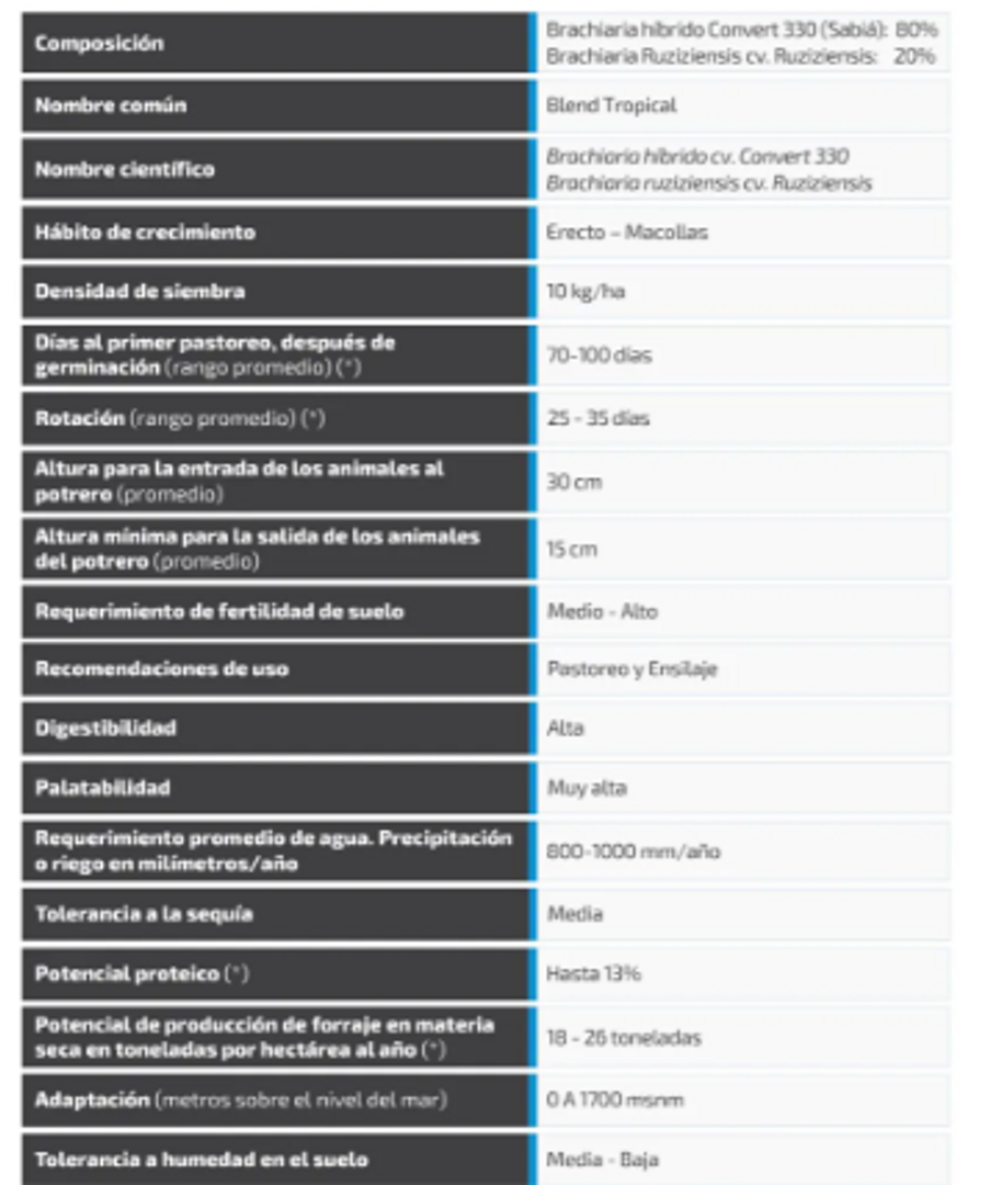 Brachiaria Blend Tropical (Incrustada) x Kg