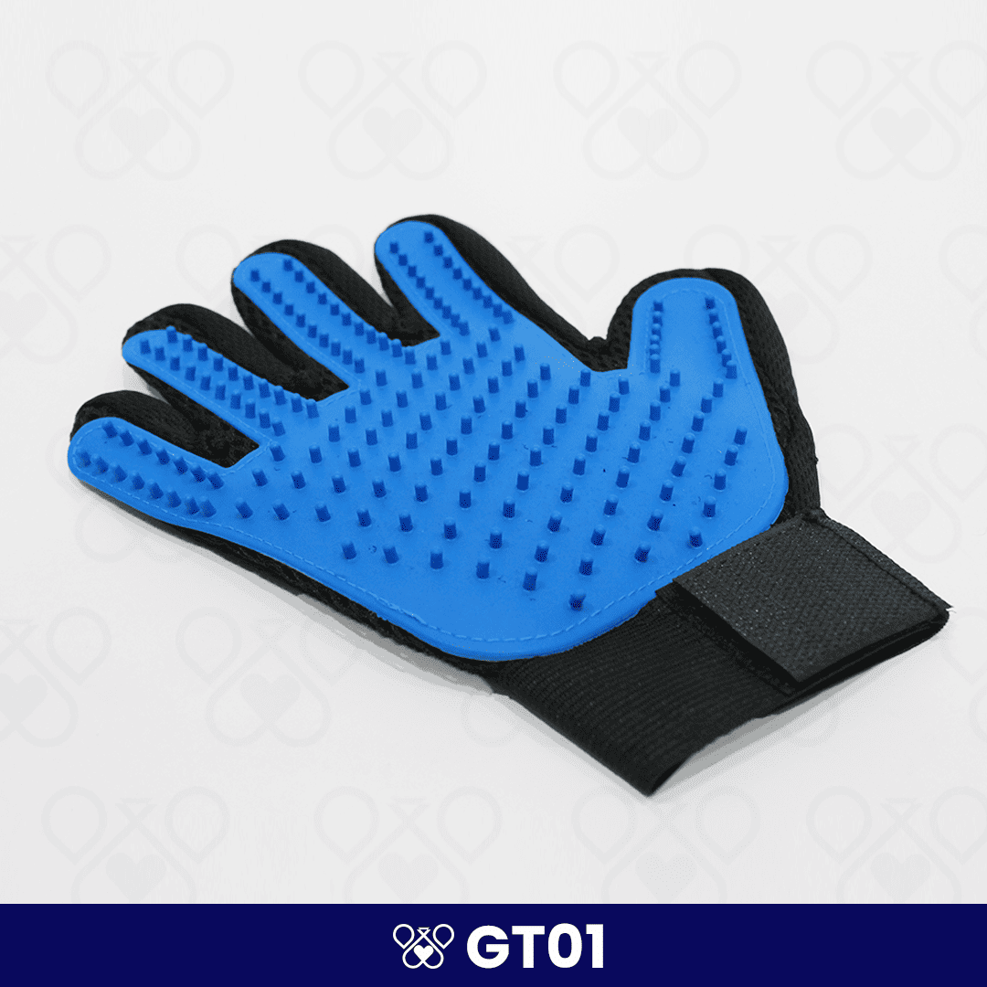 GT01