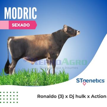 MODRIC SEXADO - imagen 1