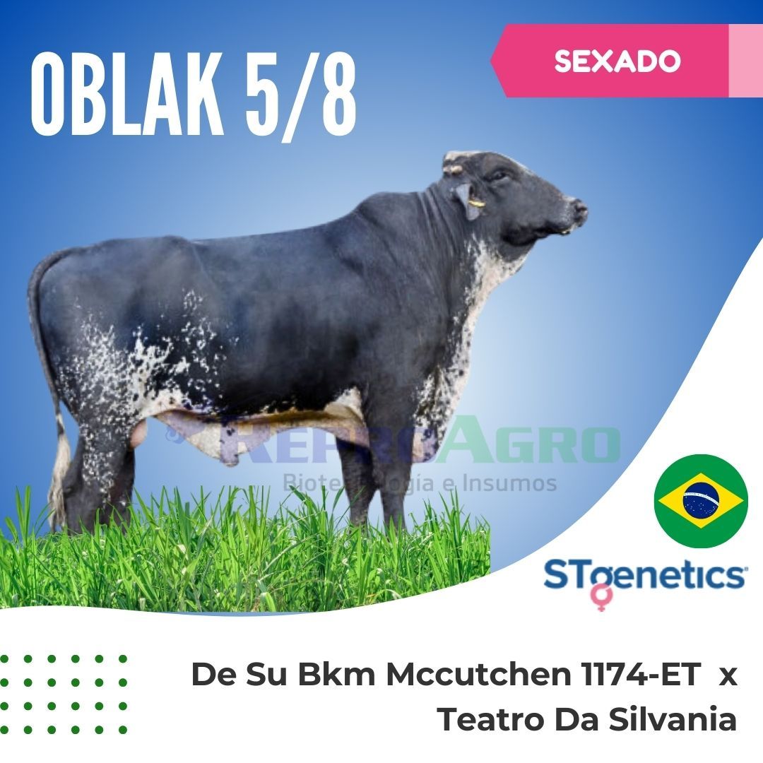OBLAK SEXADO