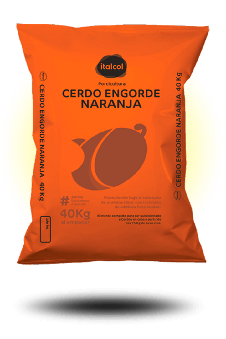 Cerdo engorde naranja