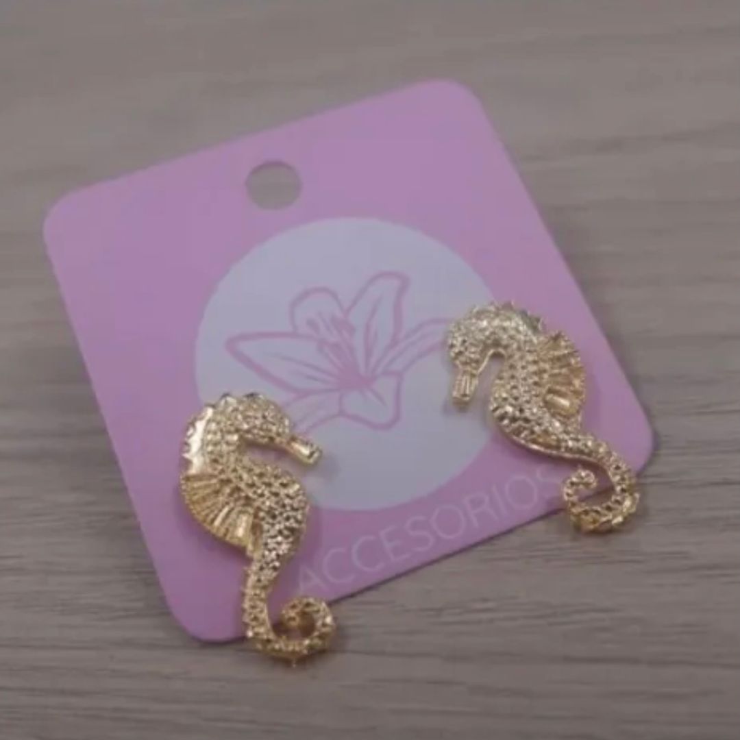 ARETAS CABALLITO DE MAR