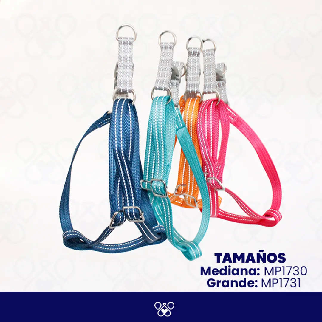 MP173-