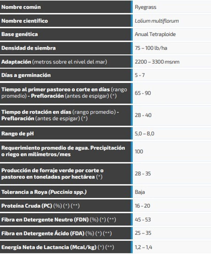 Ryegrass Aubade (Anual tetraploide certificado) x Kilo