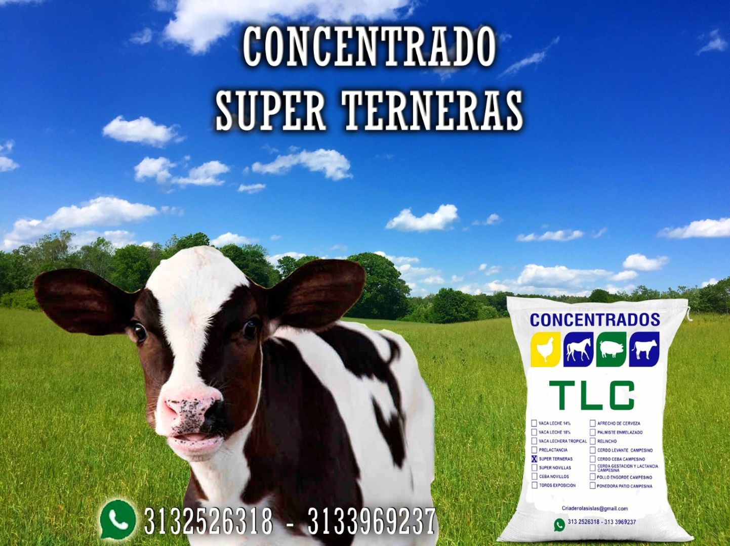 SUPER TERNERAS TLC 40 KG
