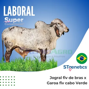 LABORAL SUPER CONVENCIONAL - imagen 1