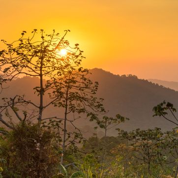 MINCA ADVENTURE - imagen 3