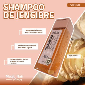 SHAMPOO CON JENGIBRE CEBOLLA Y AJI - imagen 1