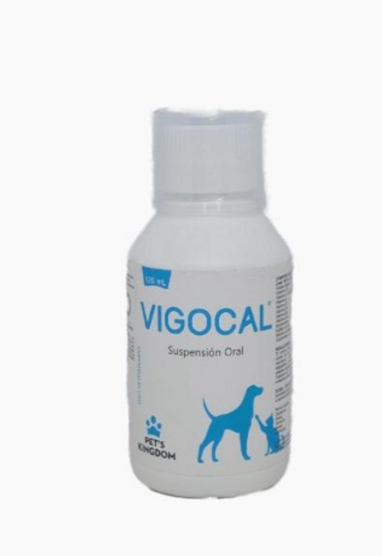 VIGOCAL SUSPENCION