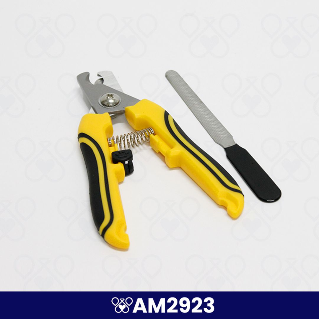 AM2923