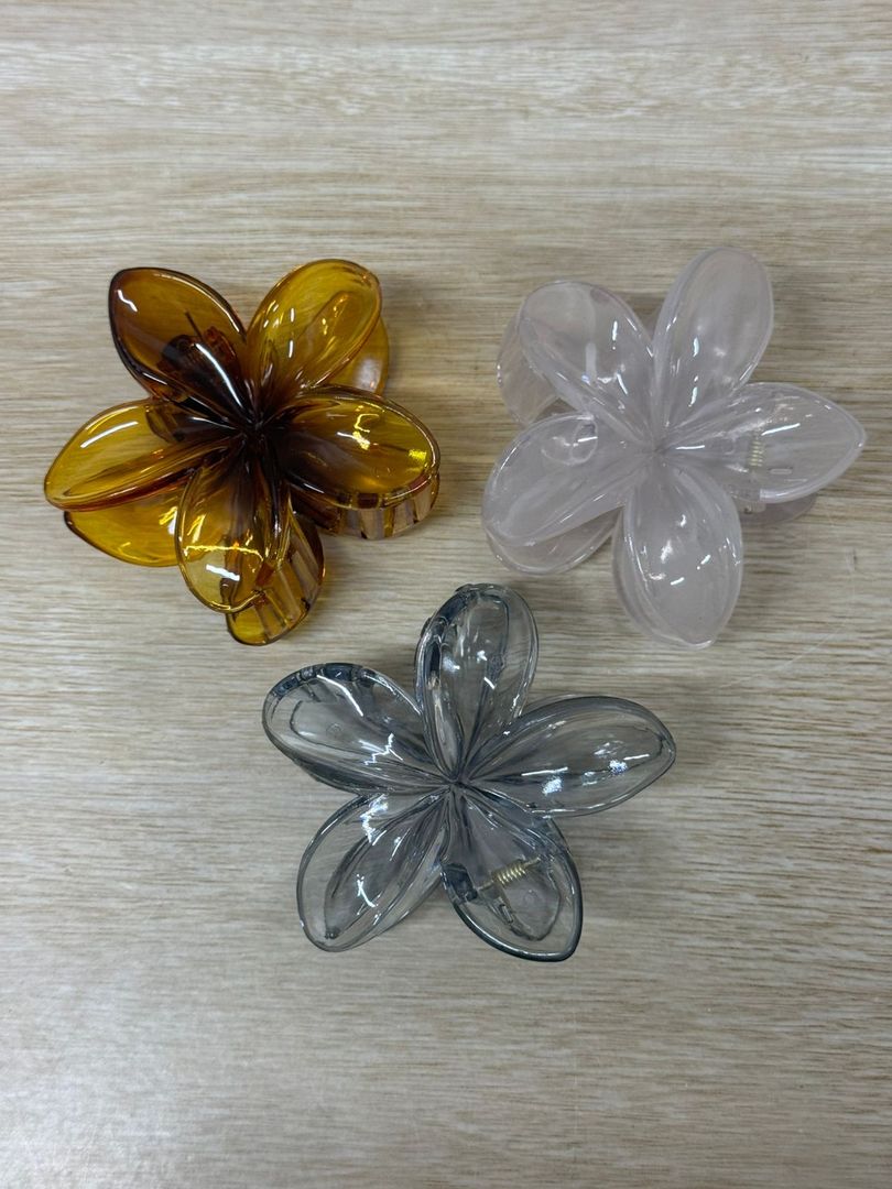 000 CAIMANES GRANDES FLOR