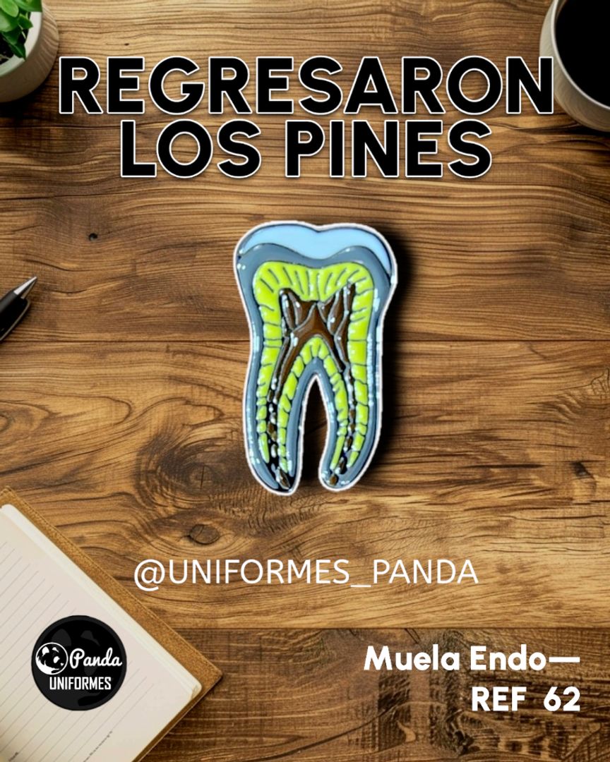 PIN MUELITA