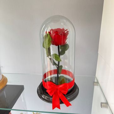 Imagen del producto ROSAS ROJA